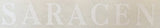 SARACEN downtube decal.