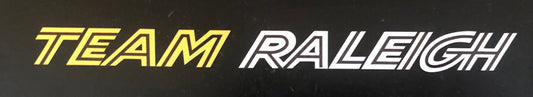 Team Raleigh Large top tube decal - H Lloyd Cycles