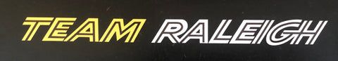 Team Raleigh Large top tube decal
