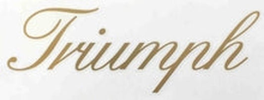 TRIUMPH down tube in gold script - H Lloyd Cycles