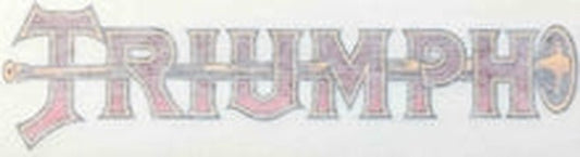 TRIUMPH down tube with trumpet - H Lloyd Cycles