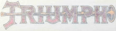 TRIUMPH down tube with trumpet