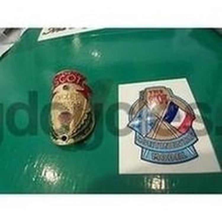 Vintage FLYING SCOT decals AND METAL HEAD BADGE - H Lloyd Cycles