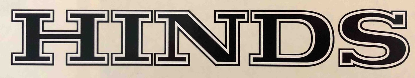 W Hinds Downtube decal - H Lloyd Cycles