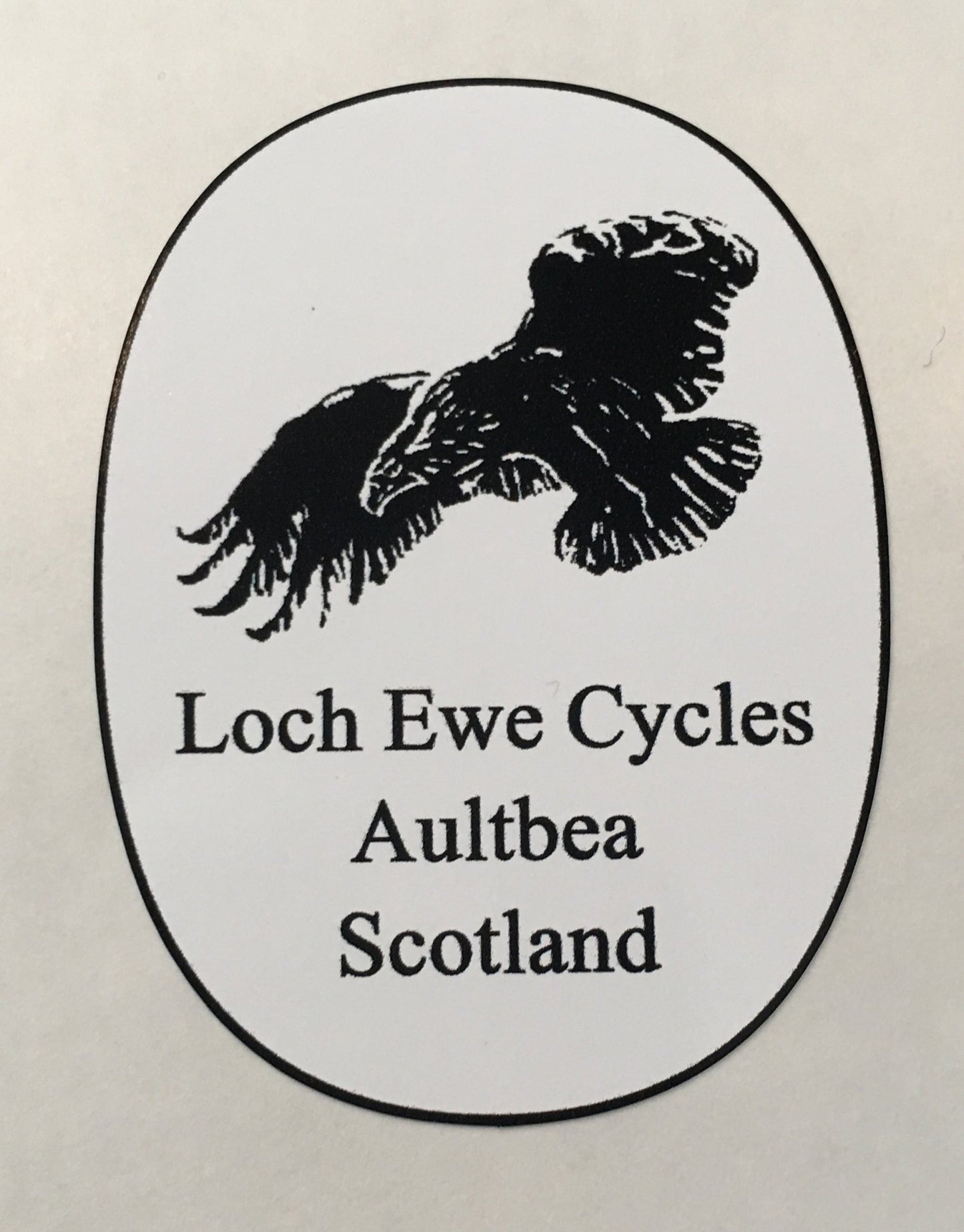 WESTER ROSS Heaadtube decal. - H Lloyd Cycles